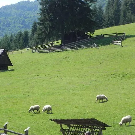 Apartman Malino Brdo Hrabovo * Rózsahegy