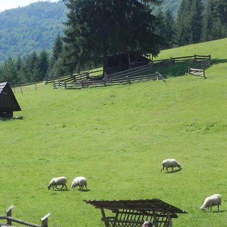 Apartman Malino Brdo Hrabovo * Ruzomberok